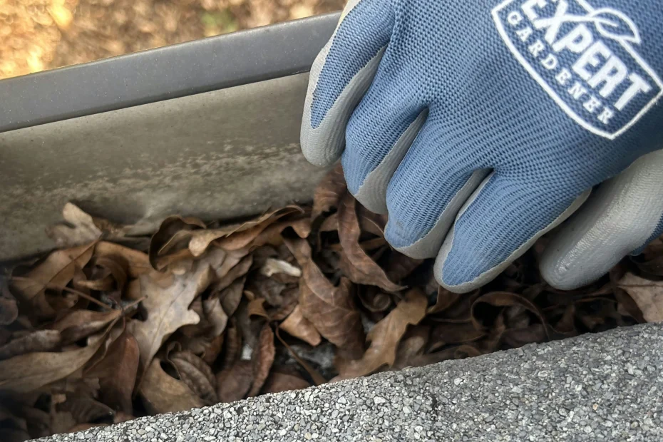 Gutter Cleaning Evanston