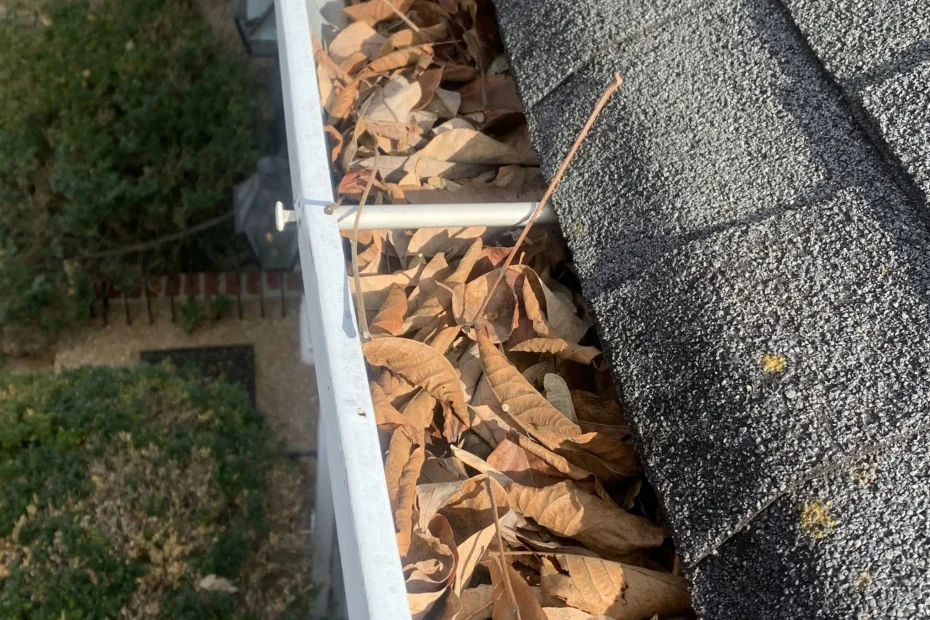 Gutter Cleaning Evanston