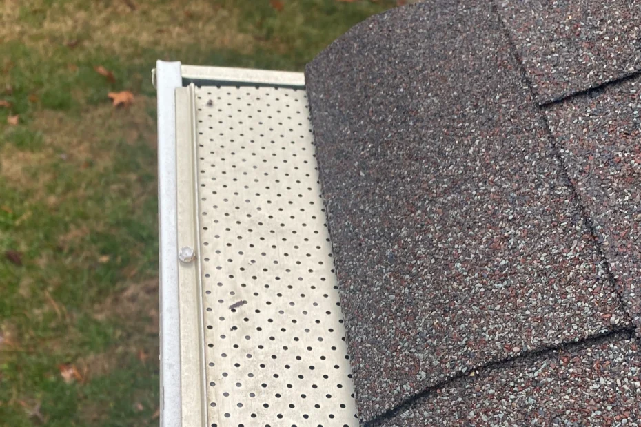 Gutter Cleaning Evanston