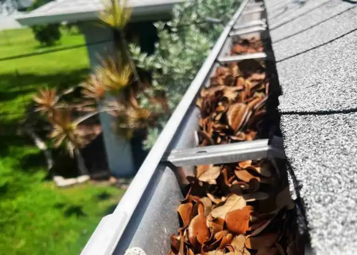 Gutter Cleaning Evanston home page